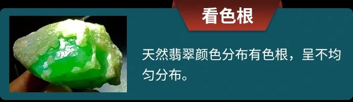 看色根